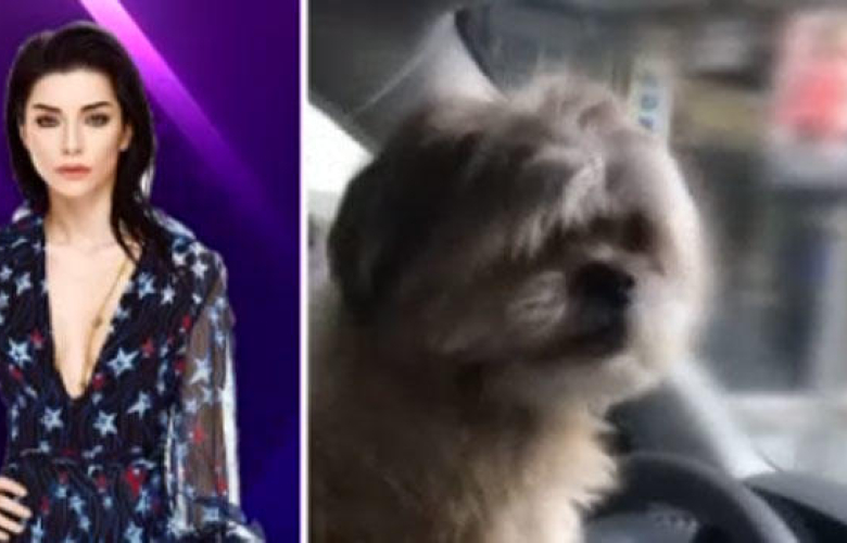 Merve Boluğur'dan tehlikeli hareketler