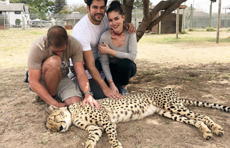 Fahriye Evcen'den çita açıklaması!