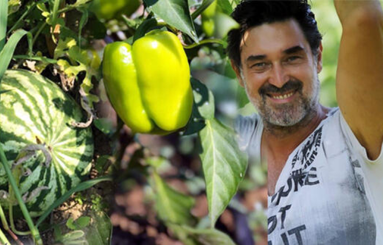 Mahsulleri toplamaya başladı! Ünlü oyuncu Burak Hakkı organik tarım yapıyor 