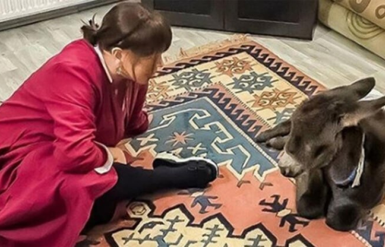 Sezen Aksu sahiplendiği sıpaya, yalısının kapılarını açtı