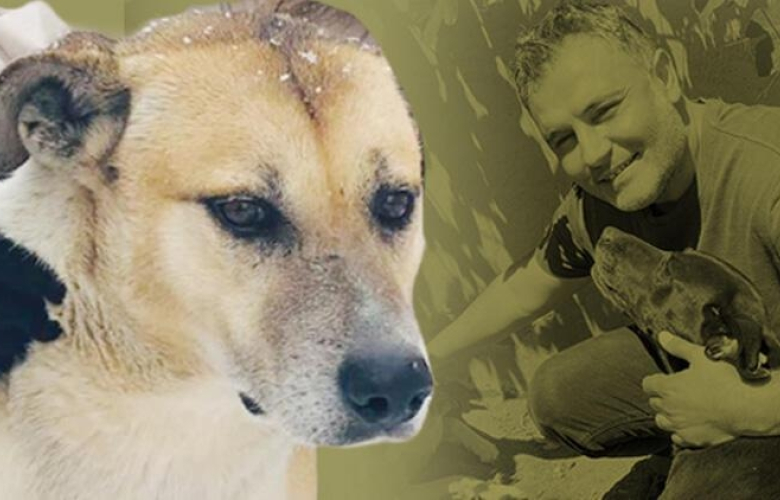 'Daire 16' onu kurtardı... Köpük rahat nefes aldı