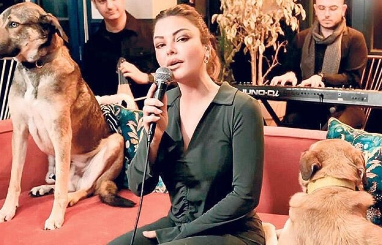 Sokak hayvanlarına özel youtube kanalı açtı!