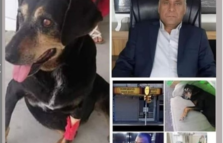 Türkiye Kartal'daki dükkanında döverek bir köpeğe tecavüz eden Mehmet Haner'i konuşuyor! YETER ARTIK!