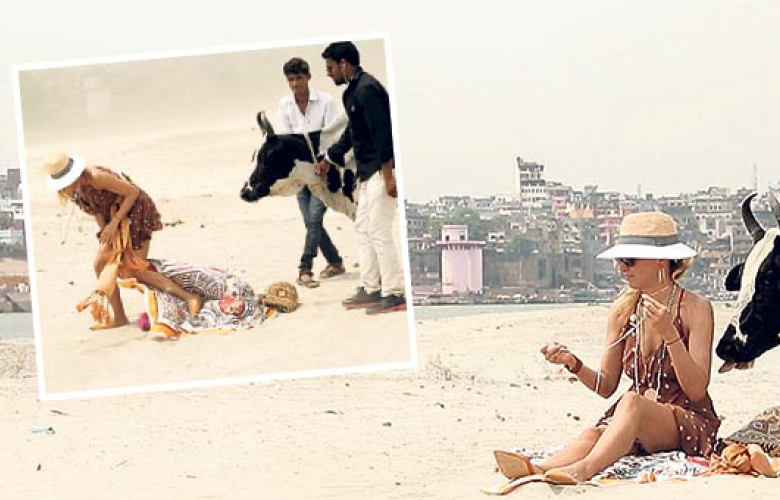 Burcu Esmersoy'un inekle imtihanı!