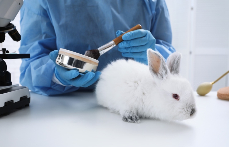 192 milyondan fazla hayvan, deney için laboratuvarlarda tutuluyor!
