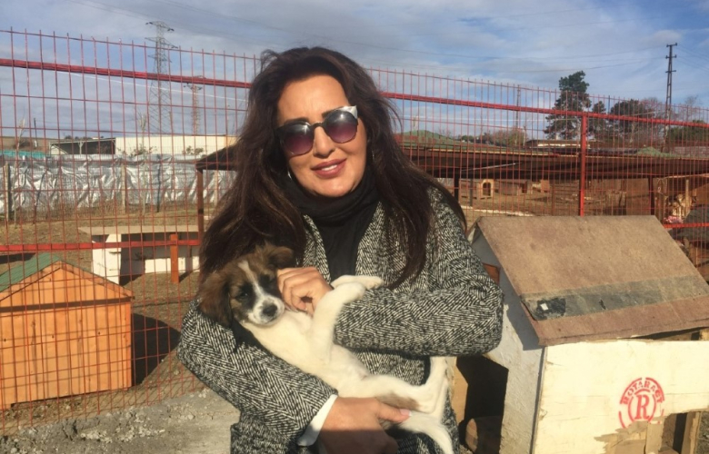 "Duru" iyileşti. Sıra diğer can'lara yardımda... Nükhet Duru'dan barınak ziyareti.