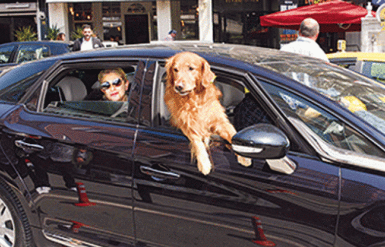 Muazzez Ersoy'dan "Şanslı" tur