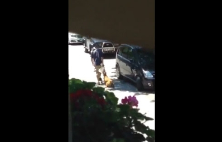 İstanbul'da ameliyatlı köpeğe işkence yapan Artı Veteriner Kliniği derin sessizlik içinde.