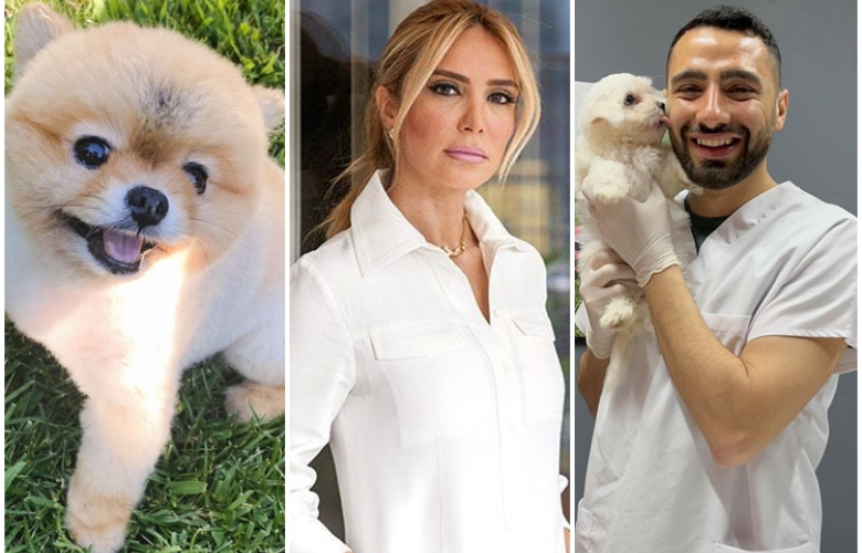 Işıl Reçber traşa bıraktığı köpeğinin ölümünü mahkemeye taşımıştı... 