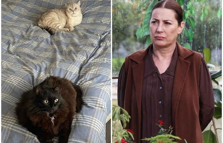 Vahide Perçin'in minik canları... 